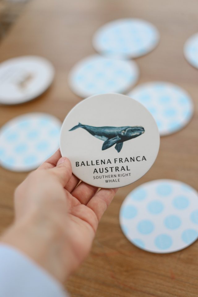 7110e68b-b54a-42e9-b331-05fb1956c66c-5247009ec11a5a300d16426264977385-640-0