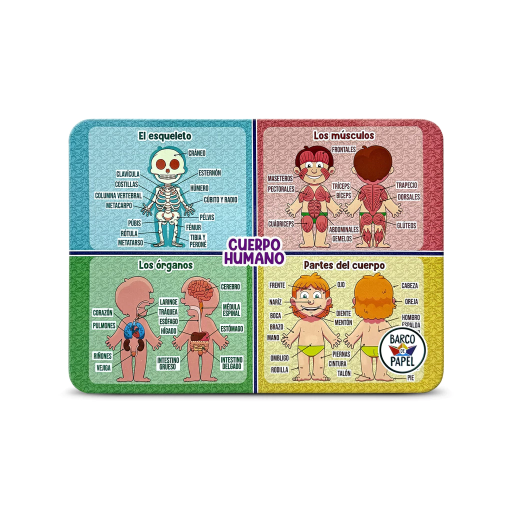 cuerpo-humano-2-bbb1c66cbdcc56a07b17653783026604-1024-1024